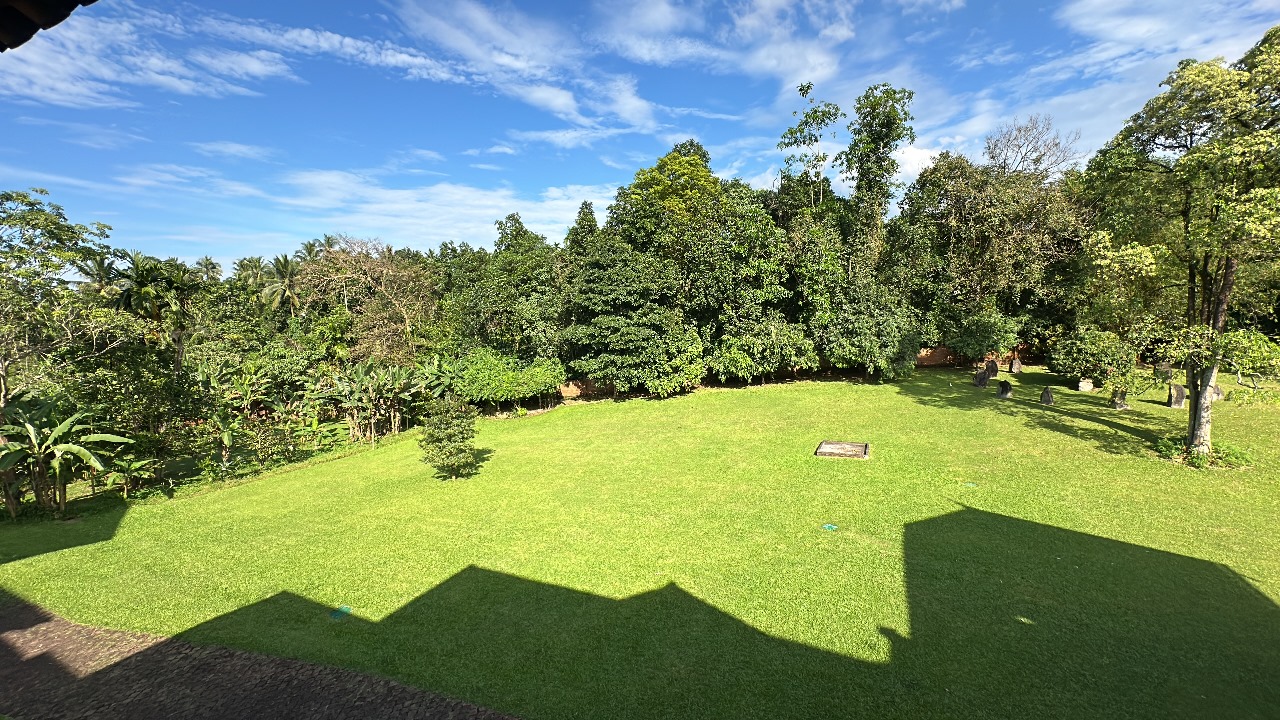 Property Highlight