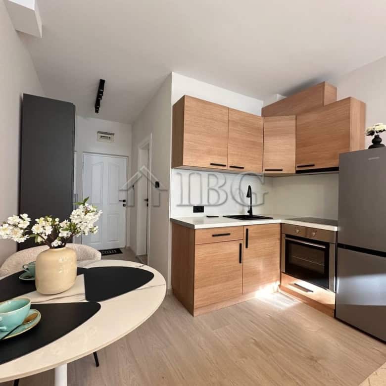 Cozy studio kitchen in Panorama Bay 2, Sveti Vlas, Bulgaria, with modern appliances and wooden cabin.