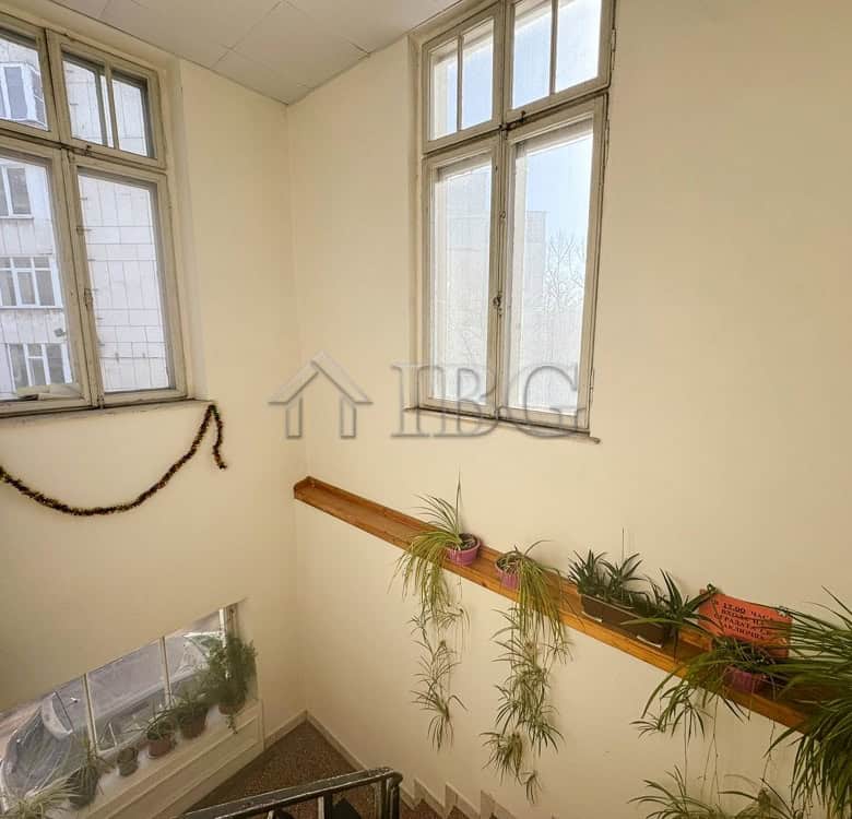 Office for rent in the heart of Ruse with natural light and indoor plants.
