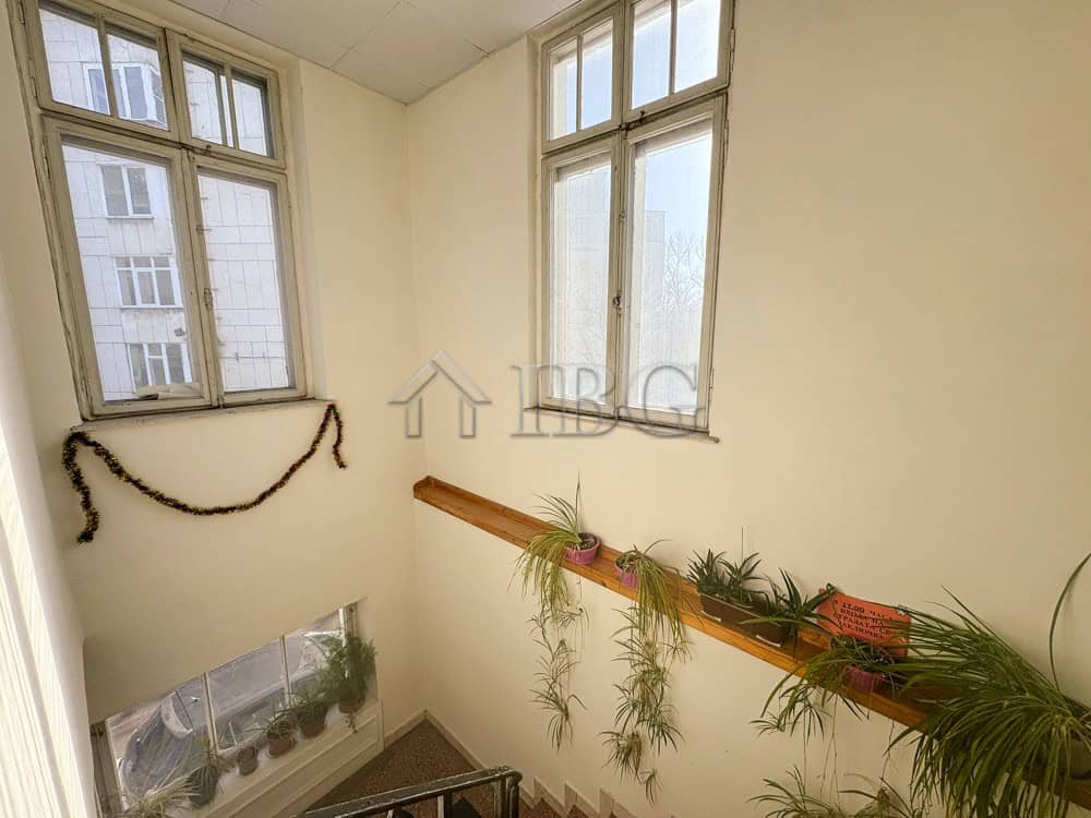 Office for rent in the heart of Ruse with natural light and indoor plants.