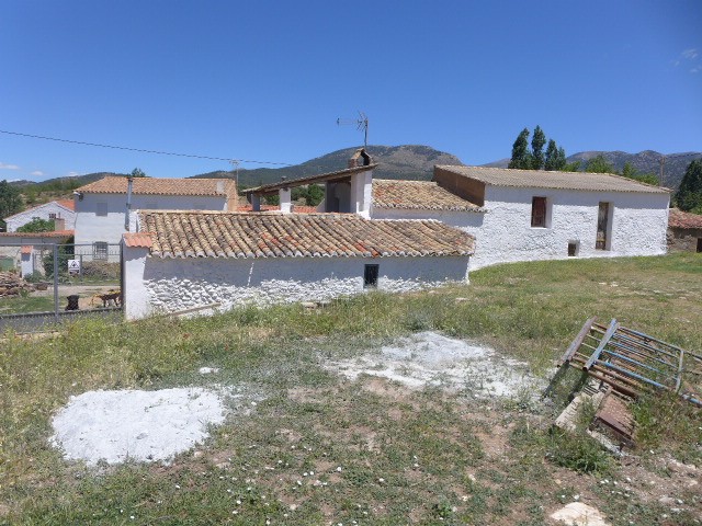 full 3236 49584