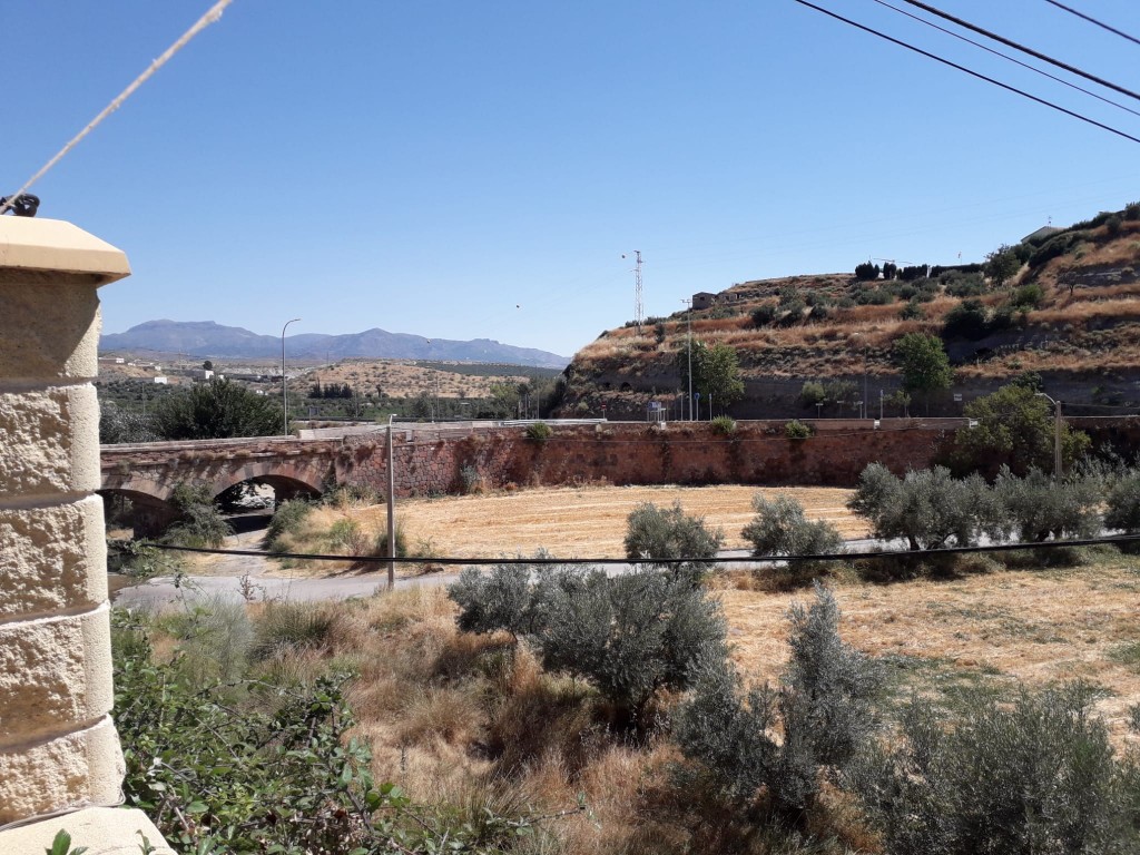 full_3265_50118