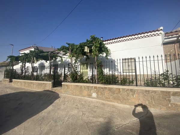 full 3613 57493