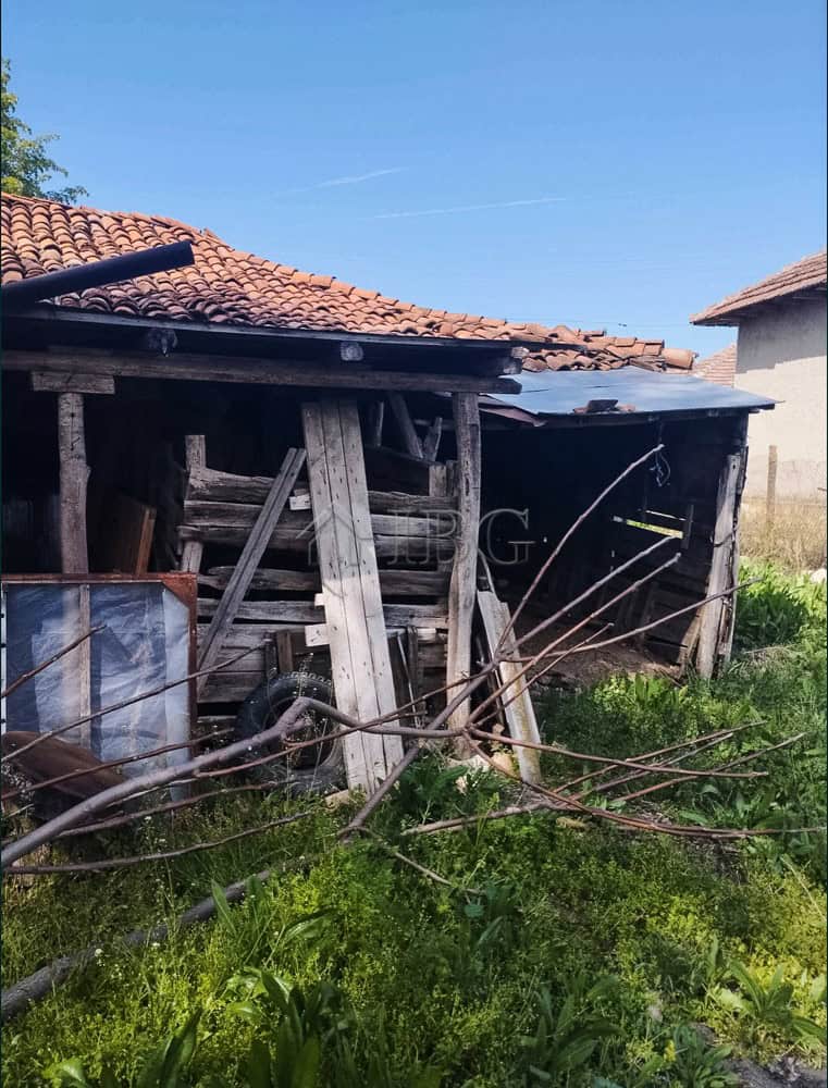 Old wooden shed with overgrown grass and garden tools in front of a house.
