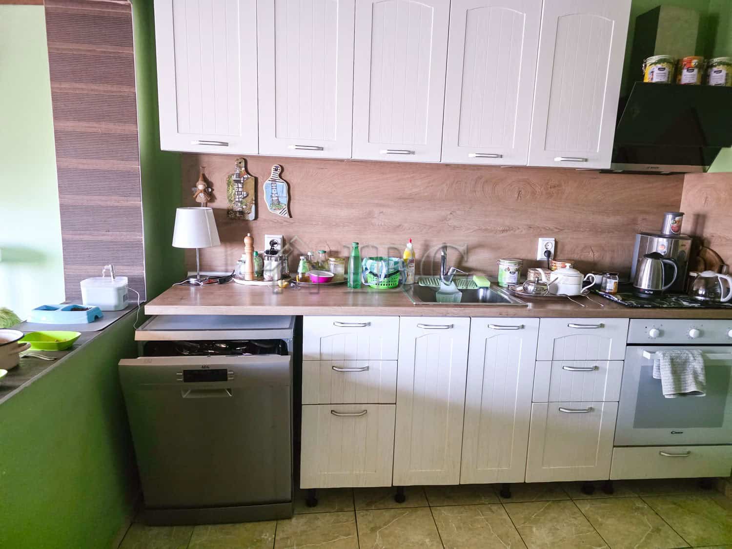 Bright kitchen featuring white cabinets, green walls, and essential appliances including a dishwashe.
