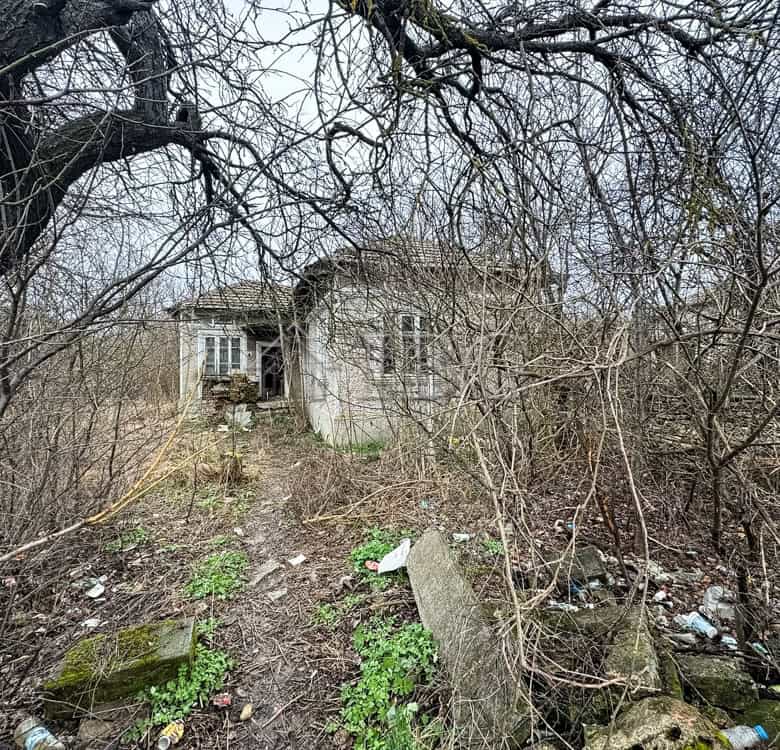 Abandoned house surrounded by overgrown trees and bushes, ideal for renovation and development near.