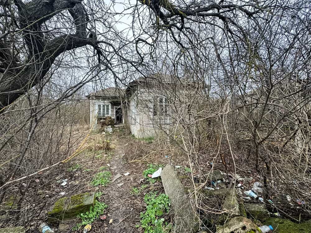 Abandoned house surrounded by overgrown trees and bushes, ideal for renovation and development near.