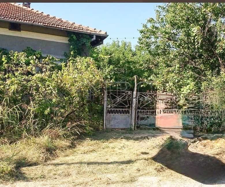 Beautiful house for sale in a picturesque village close to the Danube River, featuring lush greenery.