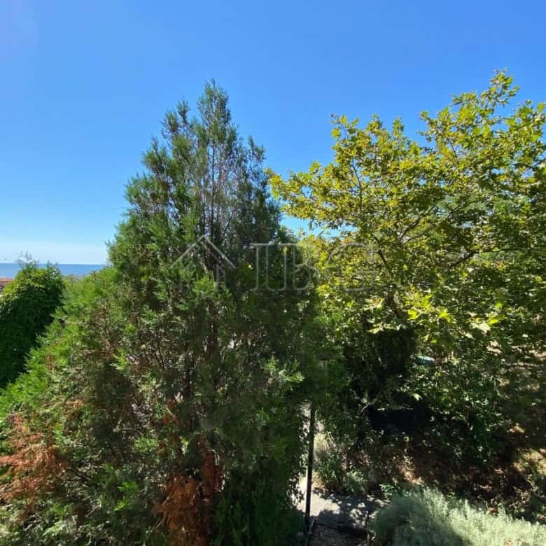 Bright view of trees and sea from apartment terrace in Sveti Vlas.