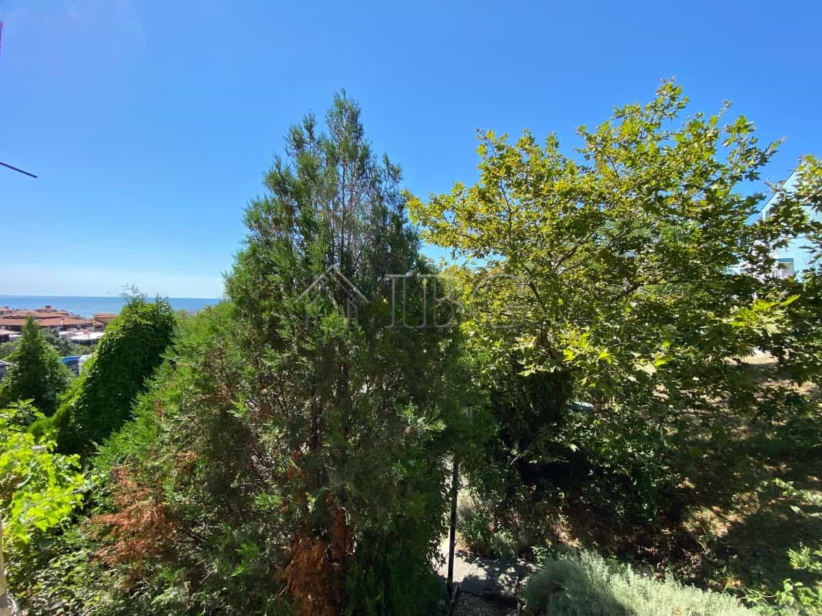 Bright view of trees and sea from apartment terrace in Sveti Vlas.