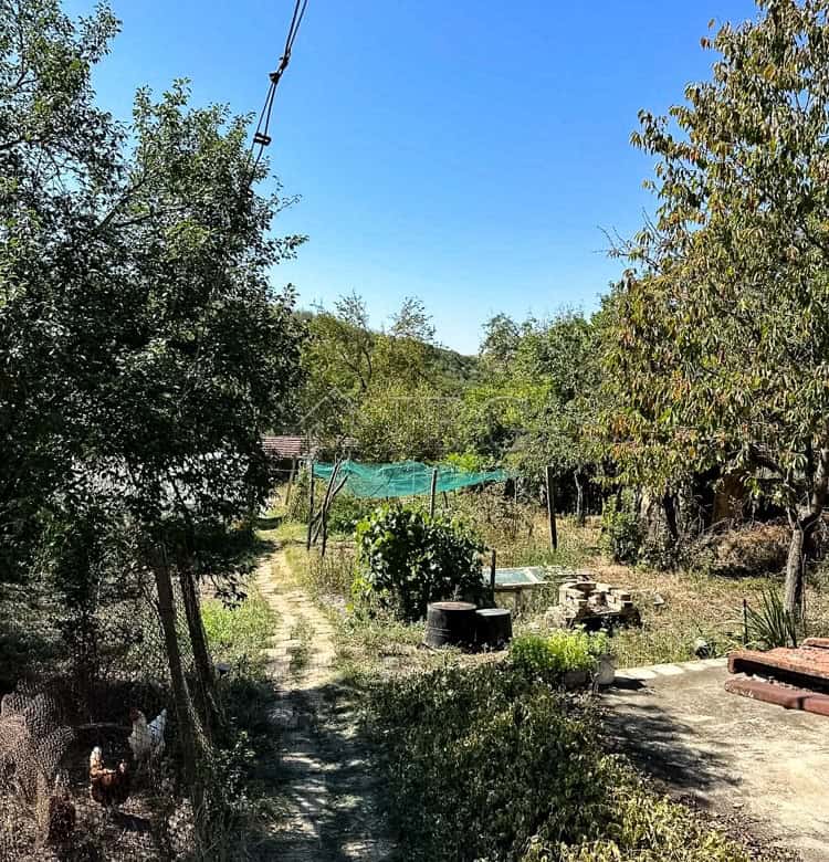 Charming single-story home surrounded by a lush 2,000 sq.m. garden, outbuildings, and garage, perfec.