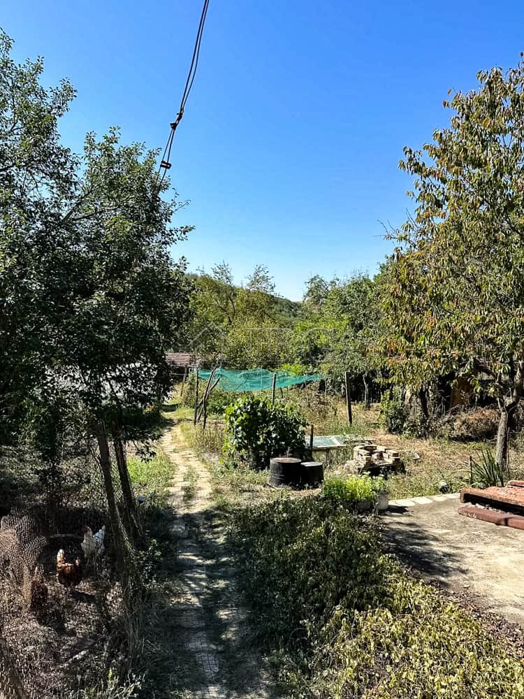 Charming single-story home surrounded by a lush 2,000 sq.m. garden, outbuildings, and garage, perfec.