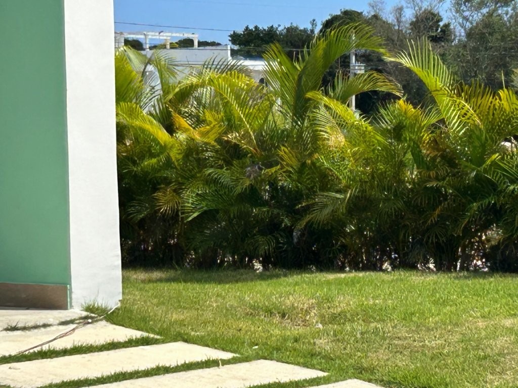 5-16