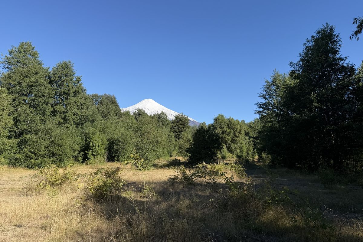 CP1002-project-of-21-building-sites-candelaria-pucon-chile-00