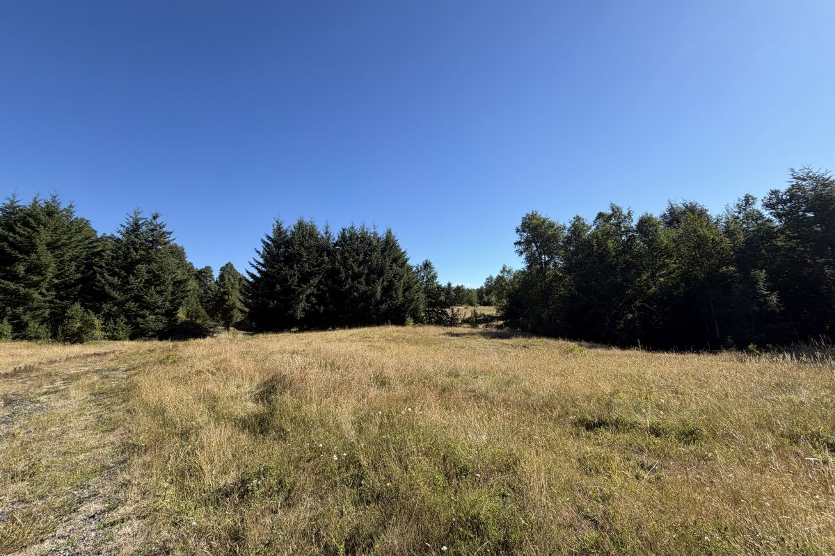 CP1002-project-of-21-building-sites-candelaria-pucon-chile-01