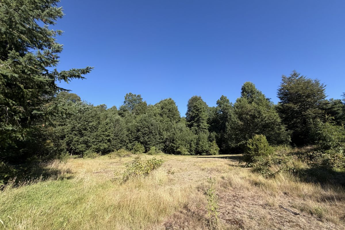 CP1002-project-of-21-building-sites-candelaria-pucon-chile-04