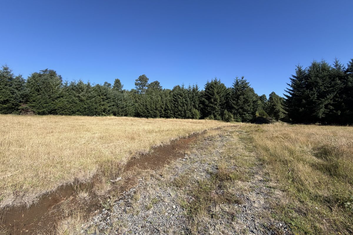 CP1002-project-of-21-building-sites-candelaria-pucon-chile-08