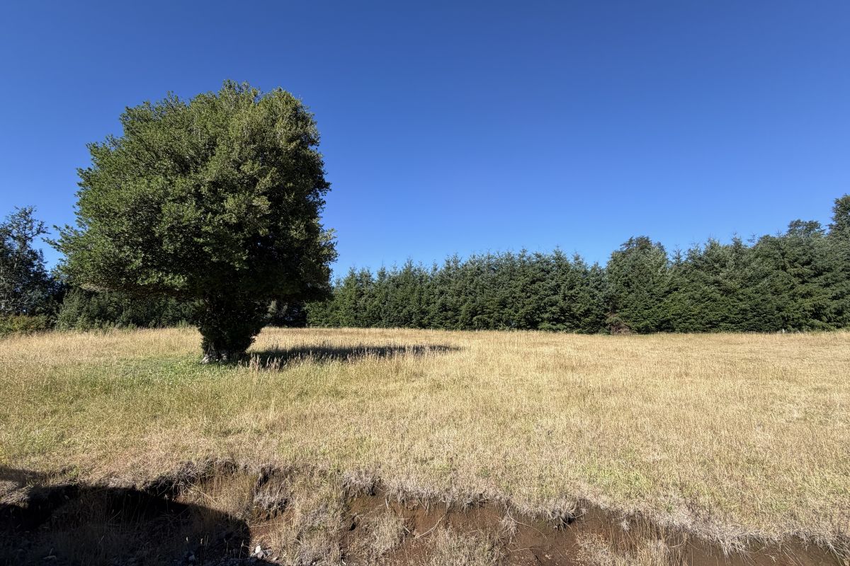 CP1002-project-of-21-building-sites-candelaria-pucon-chile-11