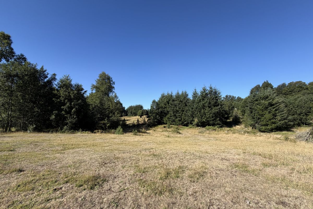 CP1002-project-of-21-building-sites-candelaria-pucon-chile-12