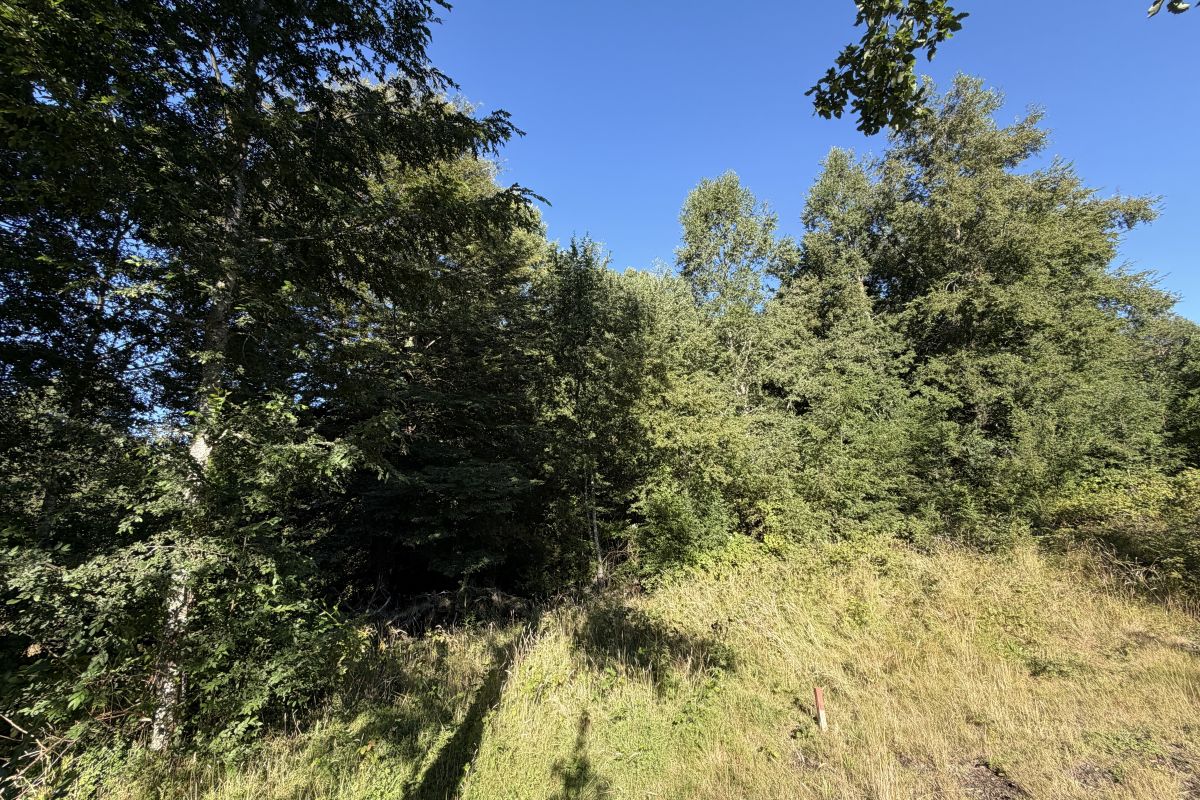 CP1002-project-of-21-building-sites-candelaria-pucon-chile-16