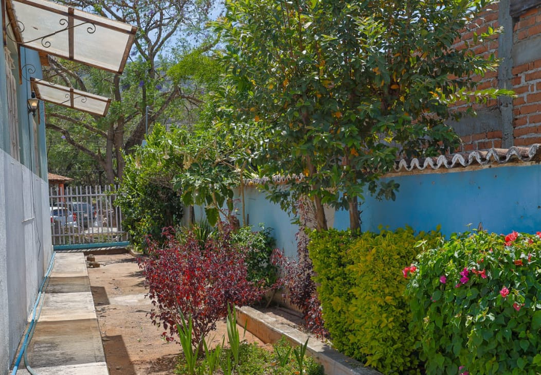Patio trasero