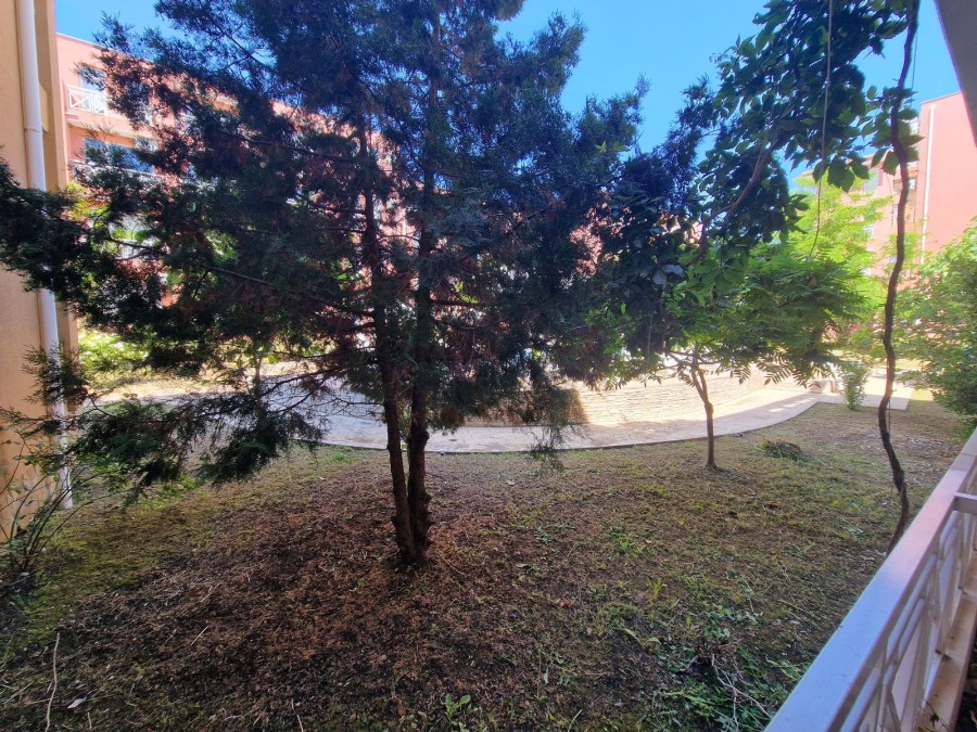 3789_2_CxNLX