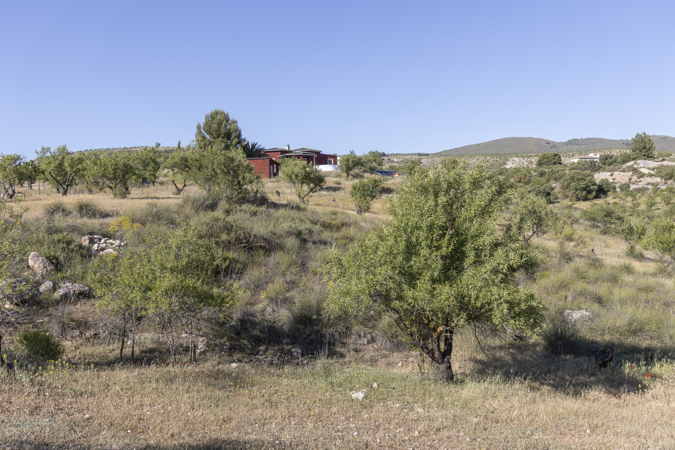 HD0A2039 copia