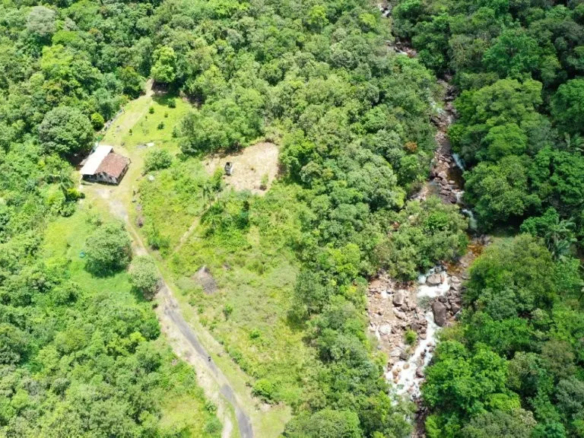 DJI 0114