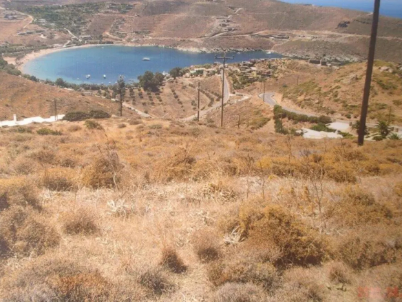 TZIA Pic 1