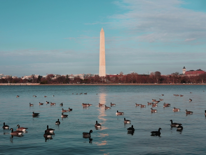 DC Foreclosures